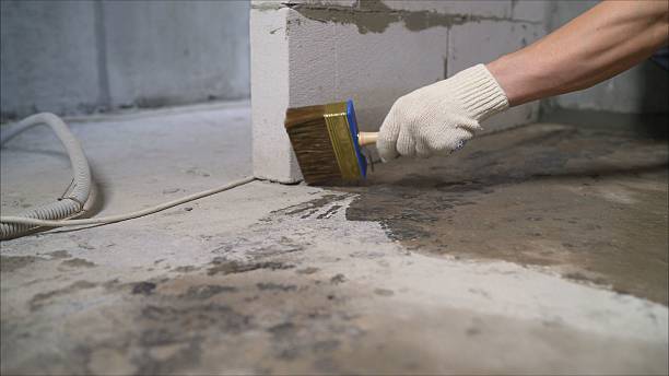 SJ Waterproofing Pros Waterproofing coverage map for Michigantown, IN and surrounding area